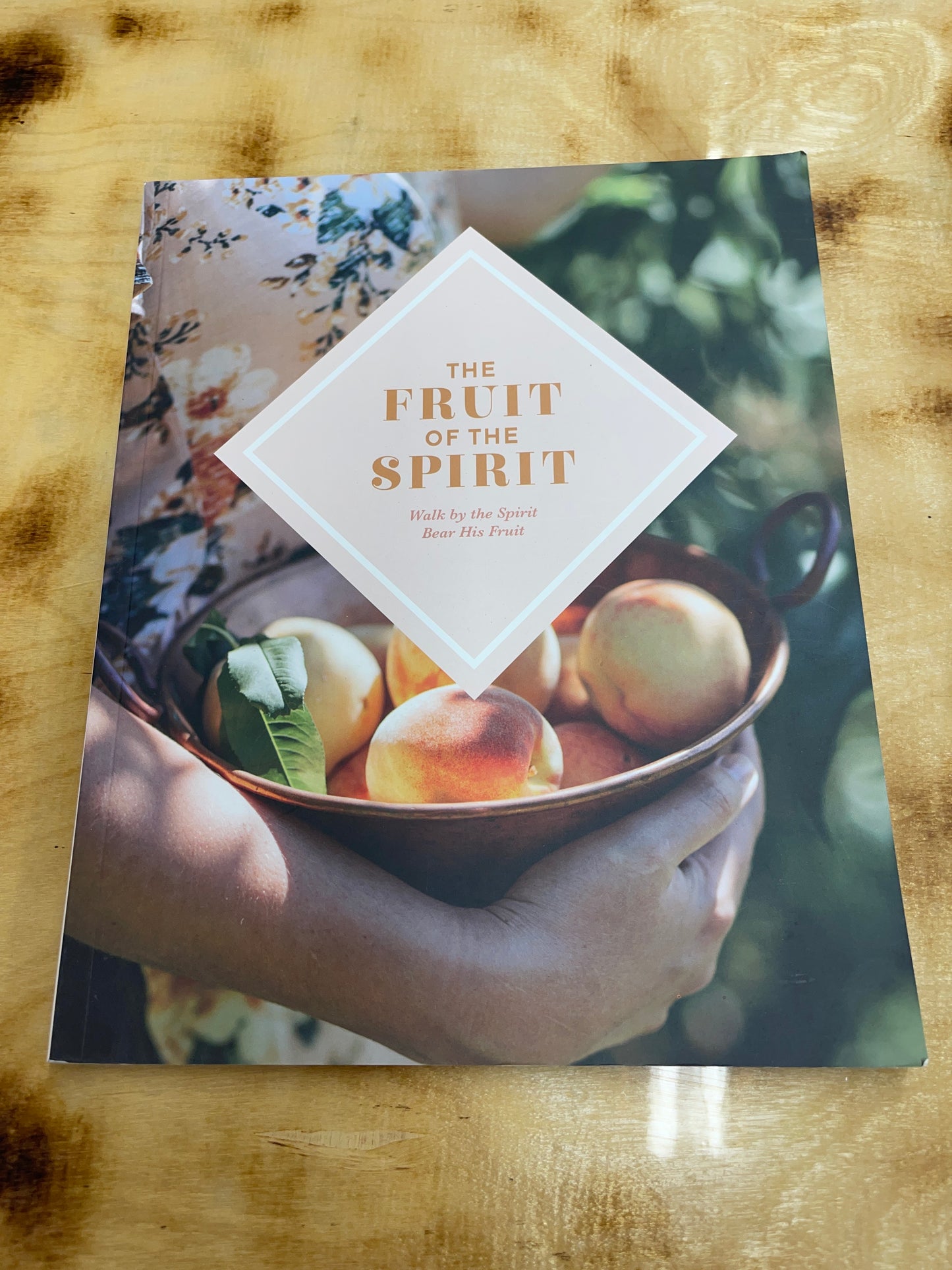 The Fruit of the Spirit Devotional Book