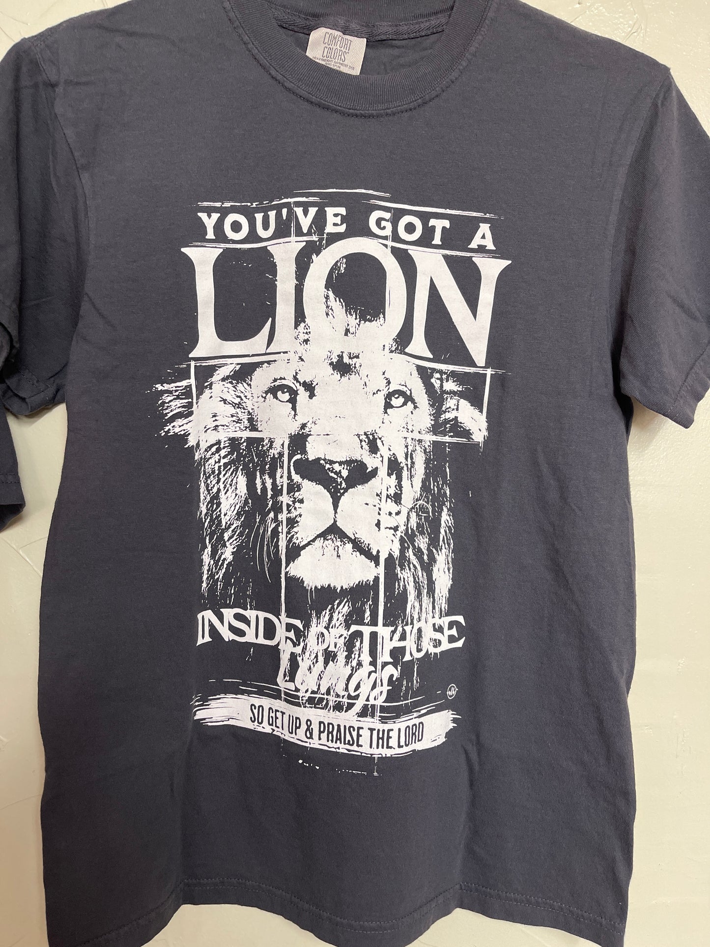 Lion Praise the Lord T-Shirt