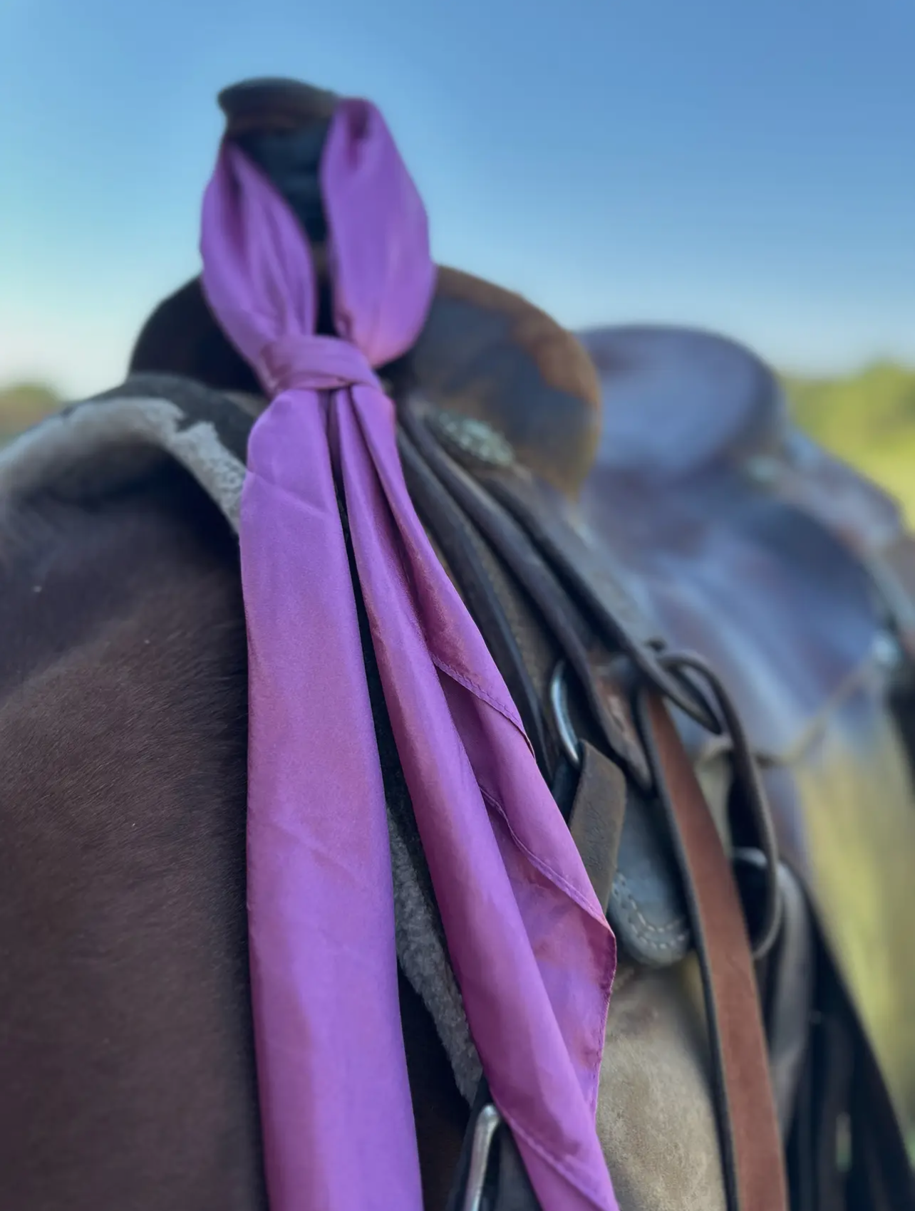 36x36 Wild Rags