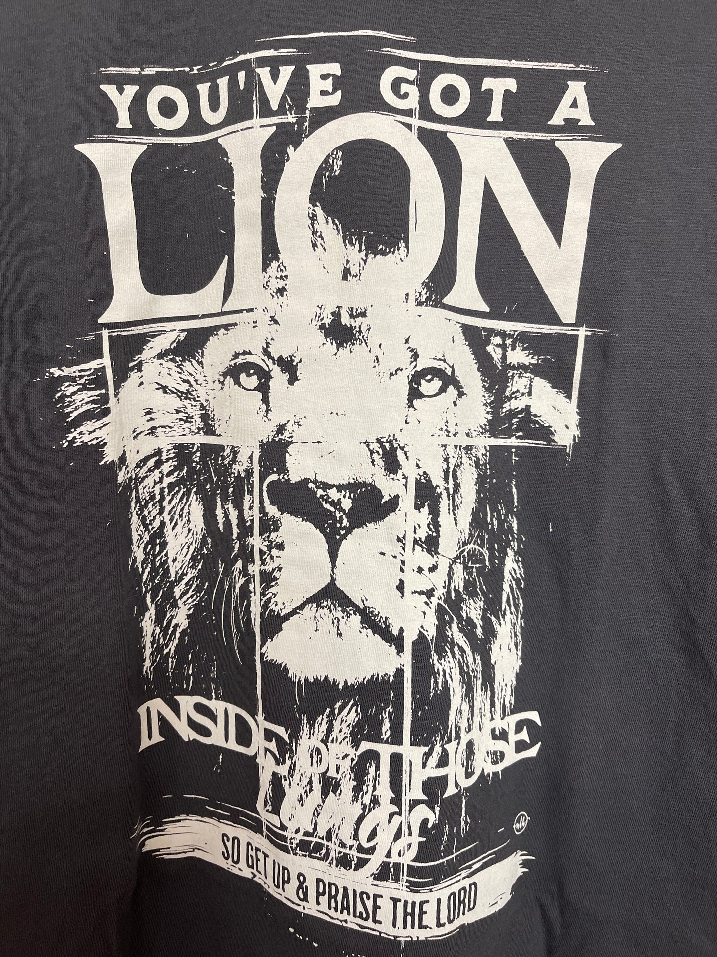 Lion Praise the Lord T-Shirt